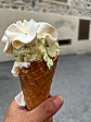 p1080710a.jpeg