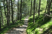 p1080803.jpg