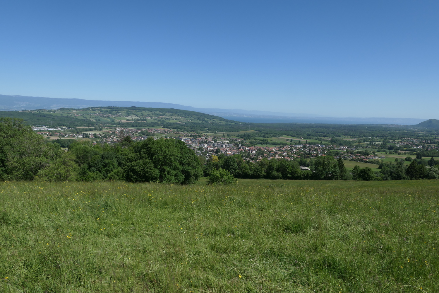 p1020150.jpg