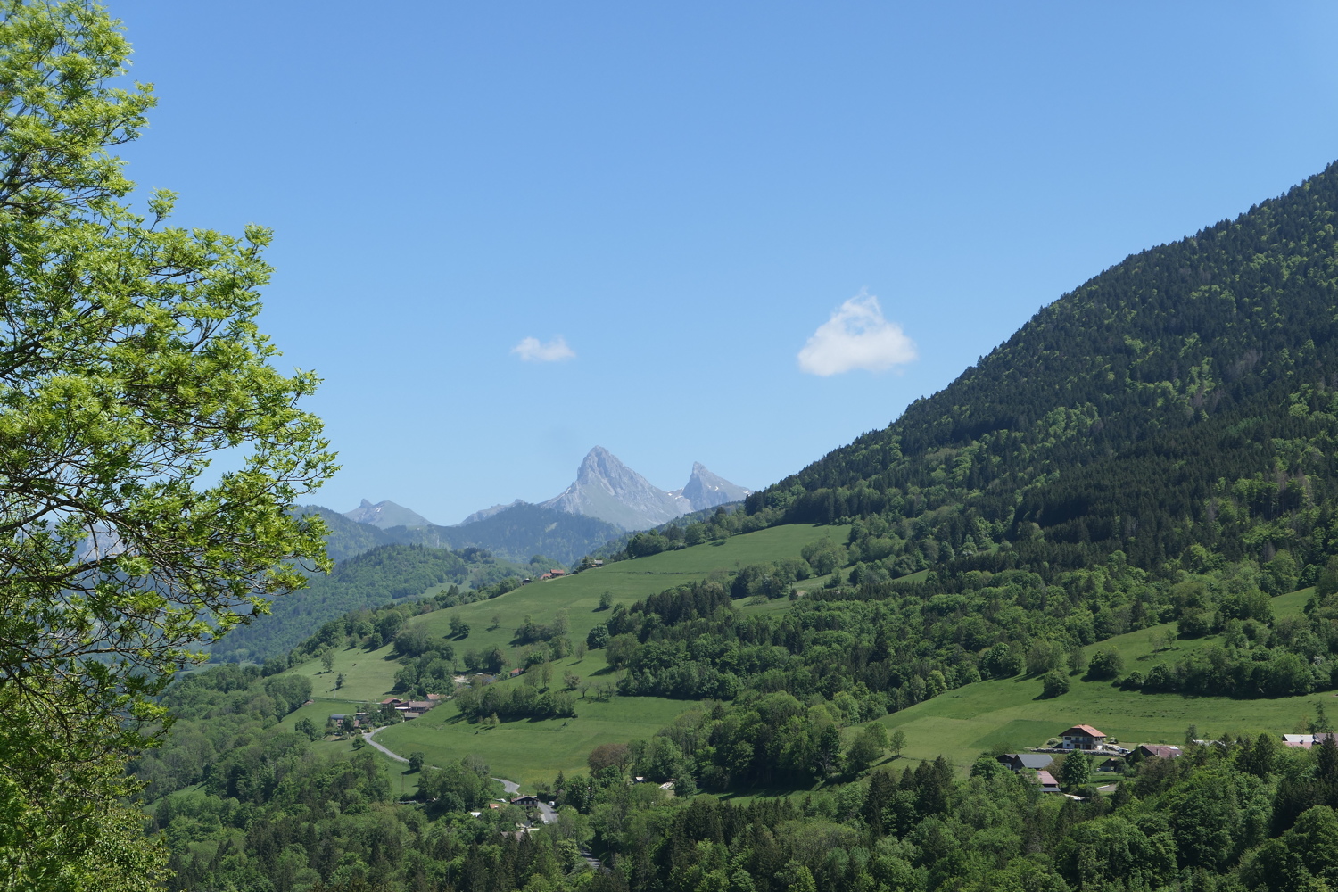 p1020153.jpg