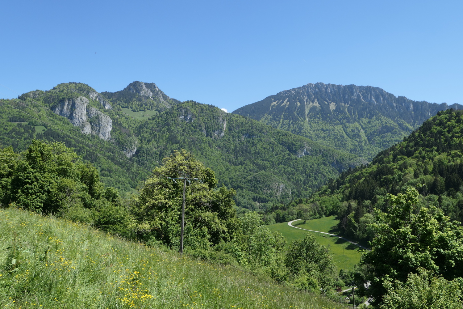 p1020155.jpg