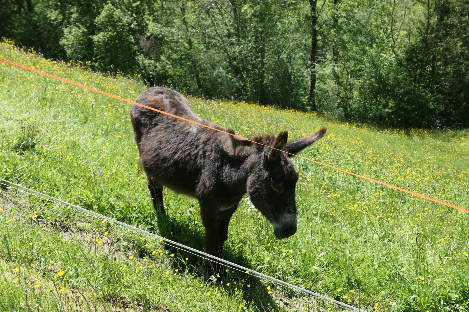 p1020156.jpg