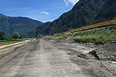 p1020230.jpg