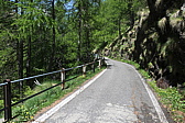 p1020293.jpg