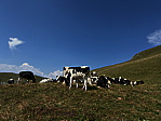 img_4369.jpeg