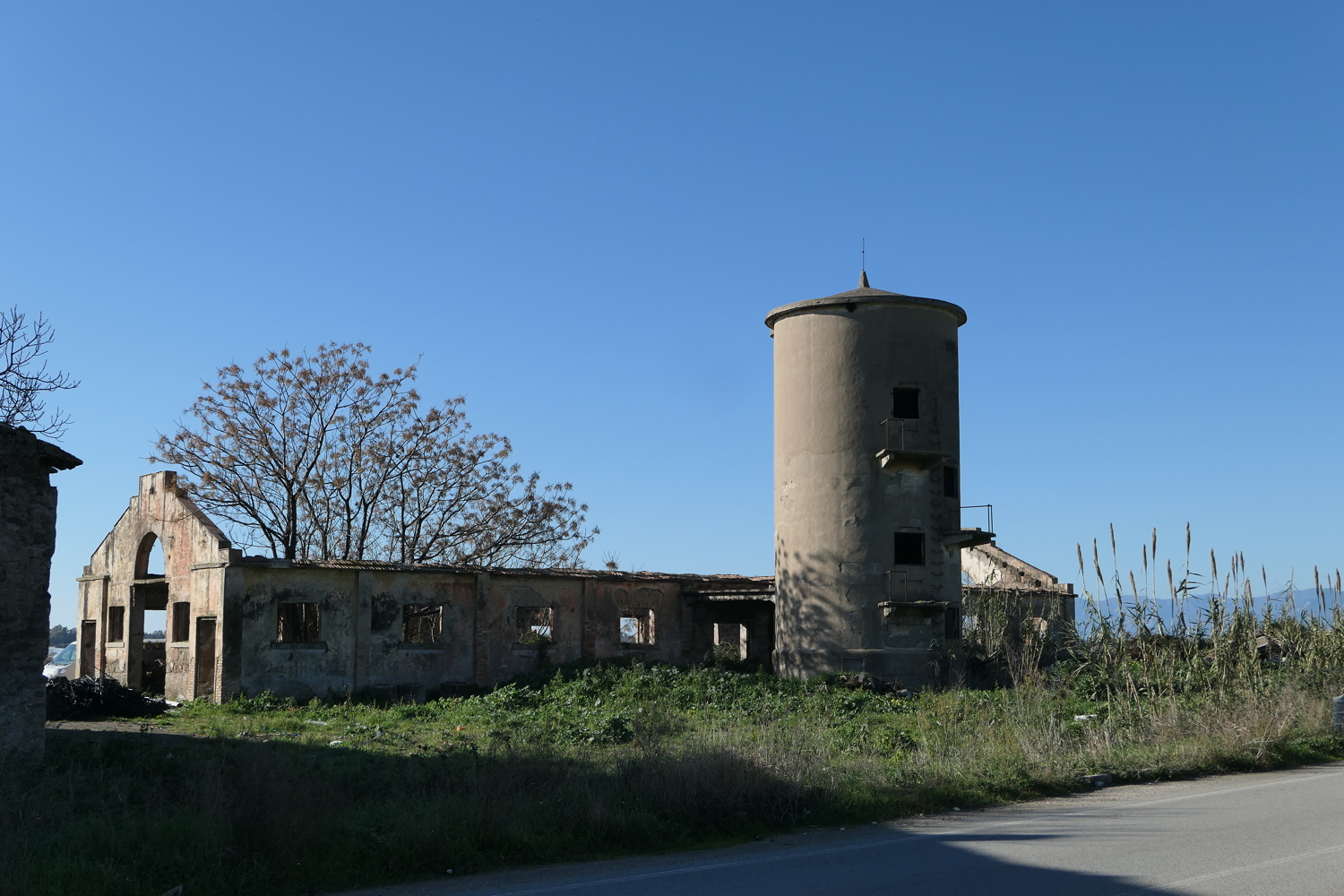 p1050614.jpg