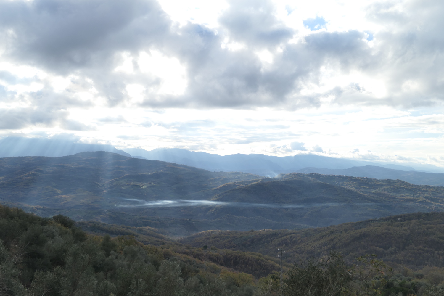 p1050633.jpg