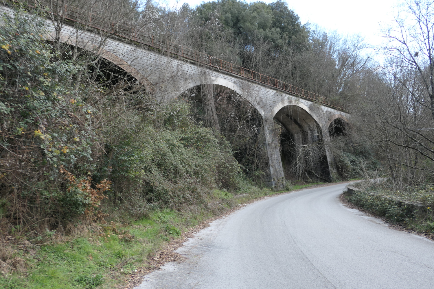 p1050658.jpg