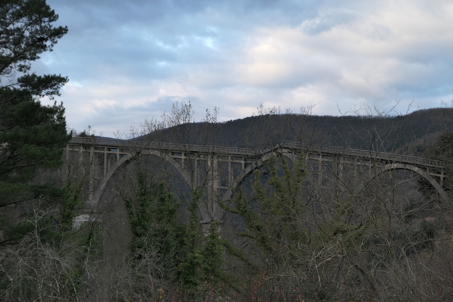 p1050662.jpg