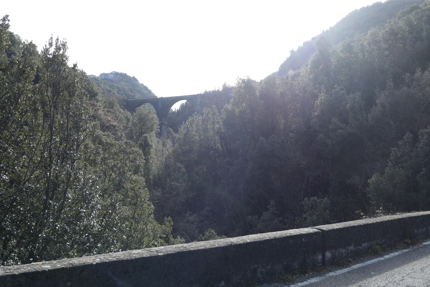 p1050679.jpg