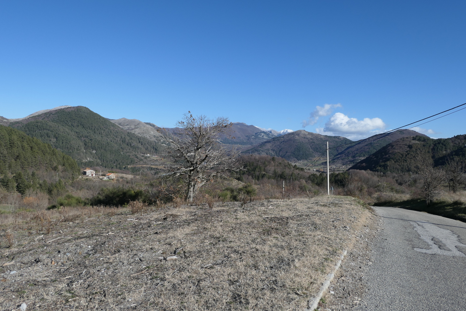 p1050681.jpg