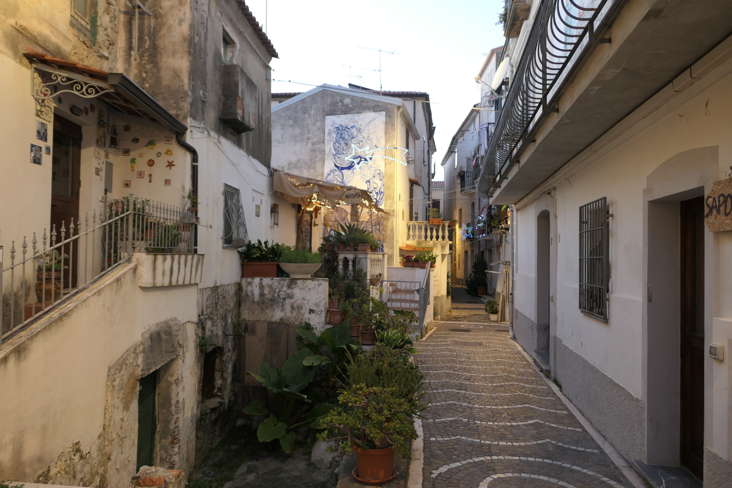 p1050701.jpg
