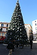 p1050606.jpg