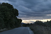 p1050628.jpg