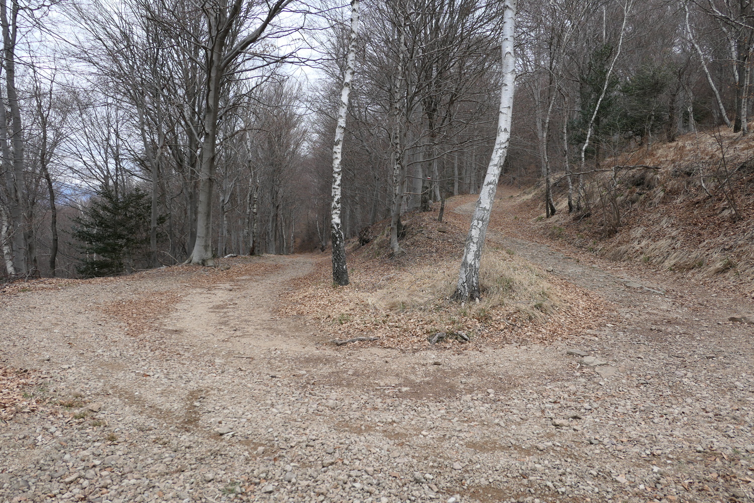 p1010702.jpg