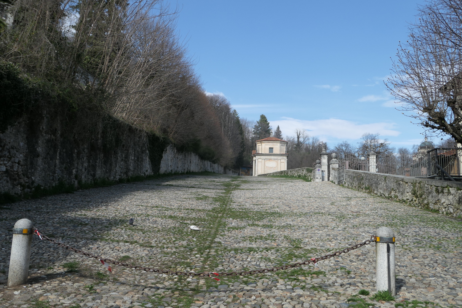 p1010713.jpg