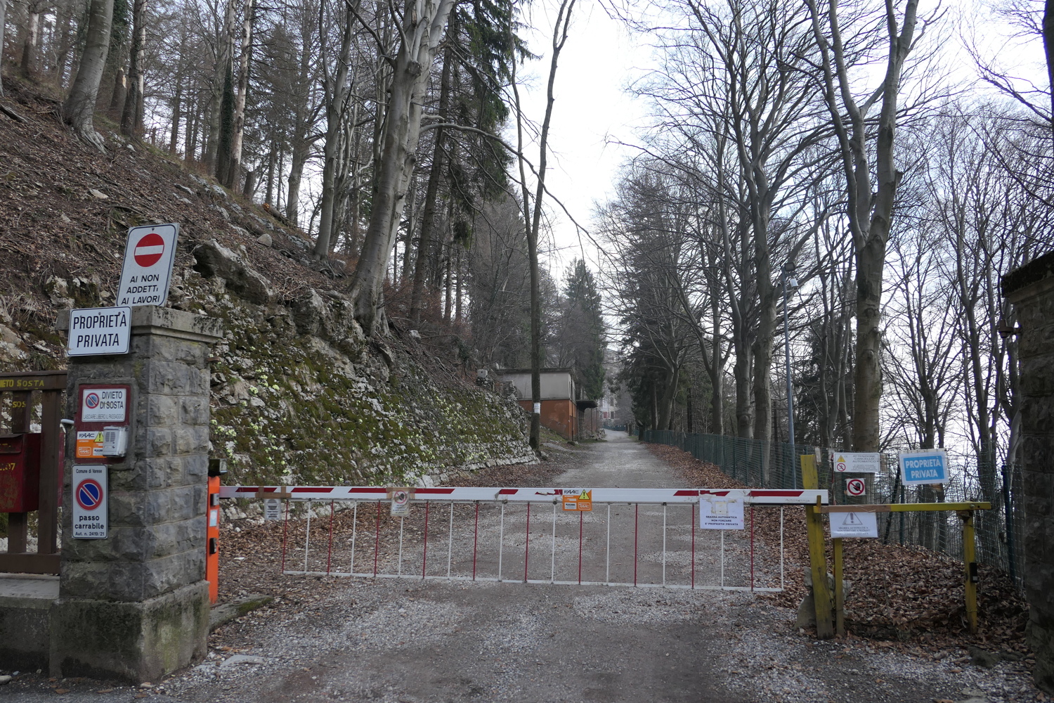 p1010715.jpg