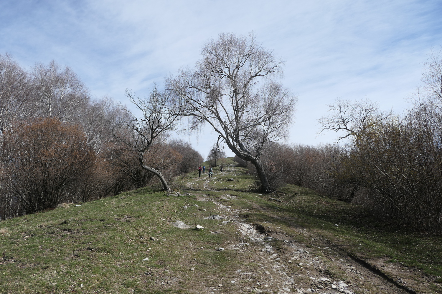 p1010736.jpg