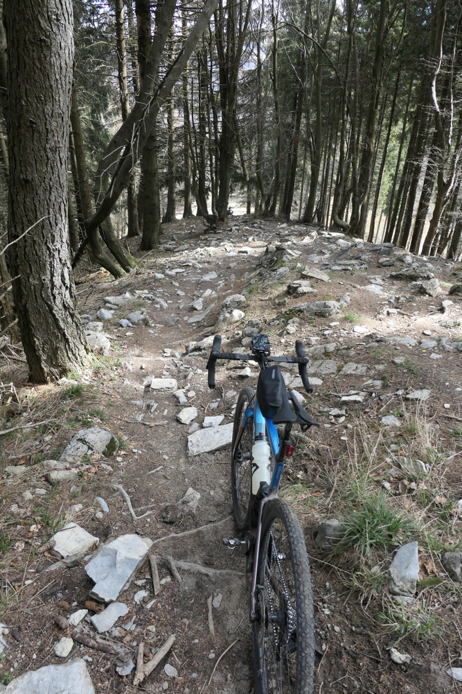 p1010740.jpg