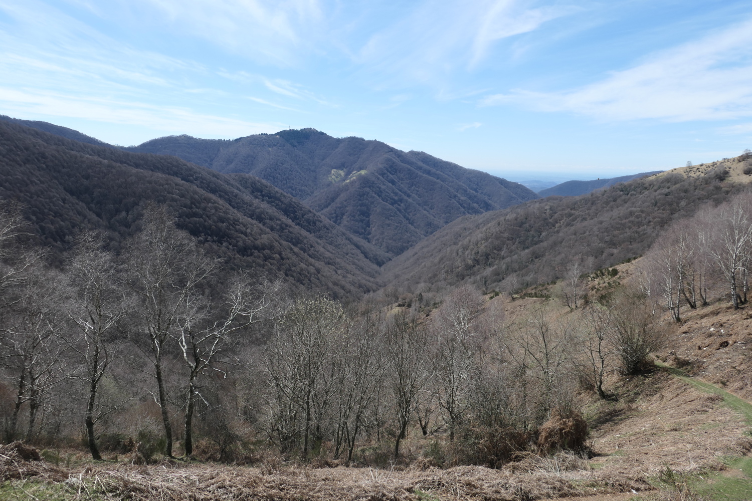 p1010745.jpg
