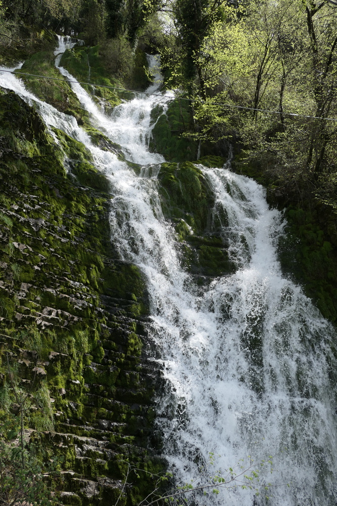 p1010751.jpg