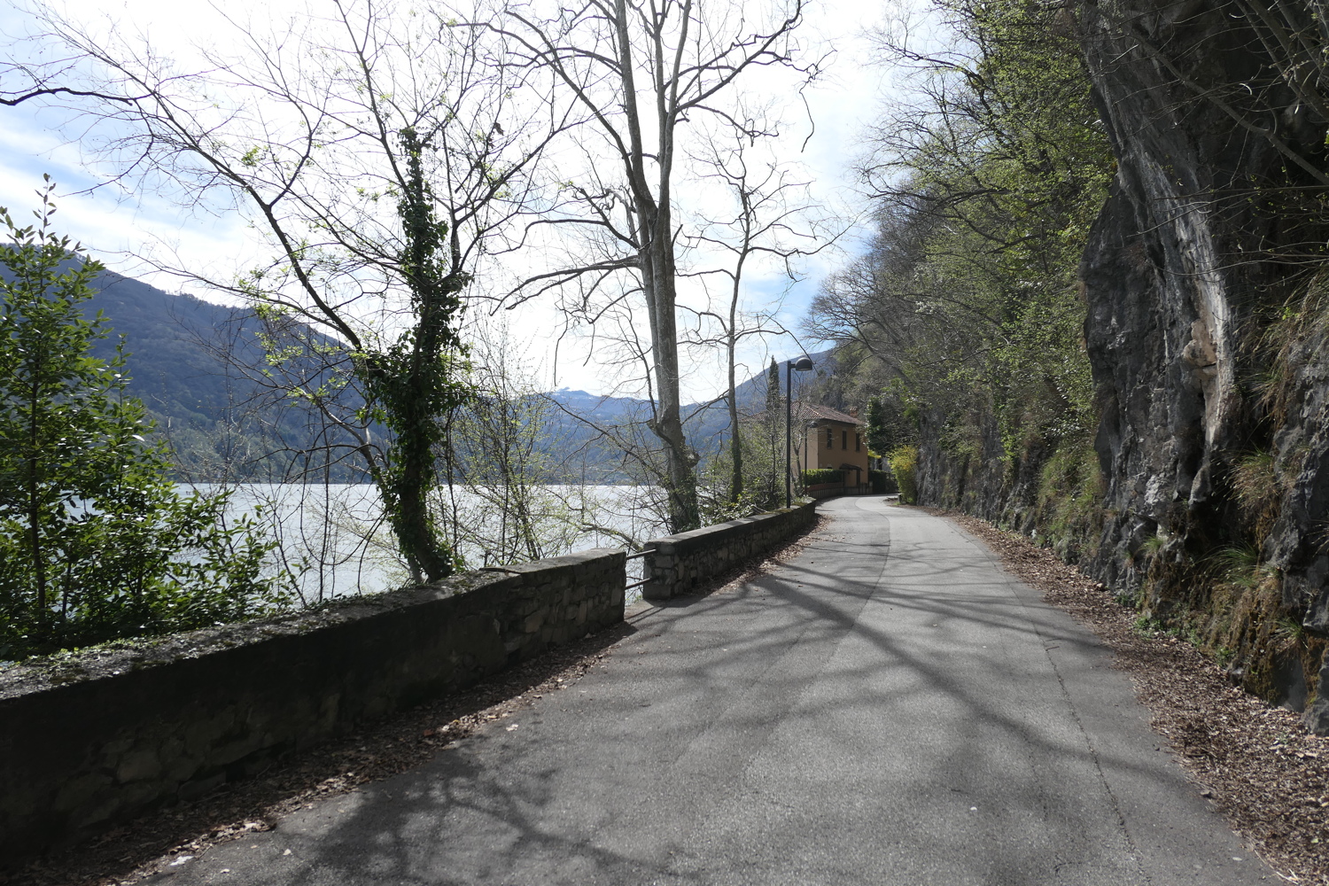 p1010753.jpg