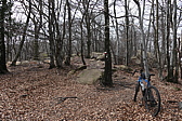 p1010698.jpg