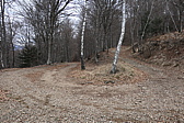 p1010702.jpg