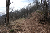p1010706.jpg