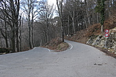 p1010716.jpg
