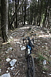 p1010740.jpg
