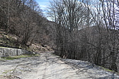 p1010743.jpg