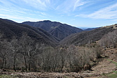 p1010745.jpg