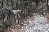 p1010748.jpg