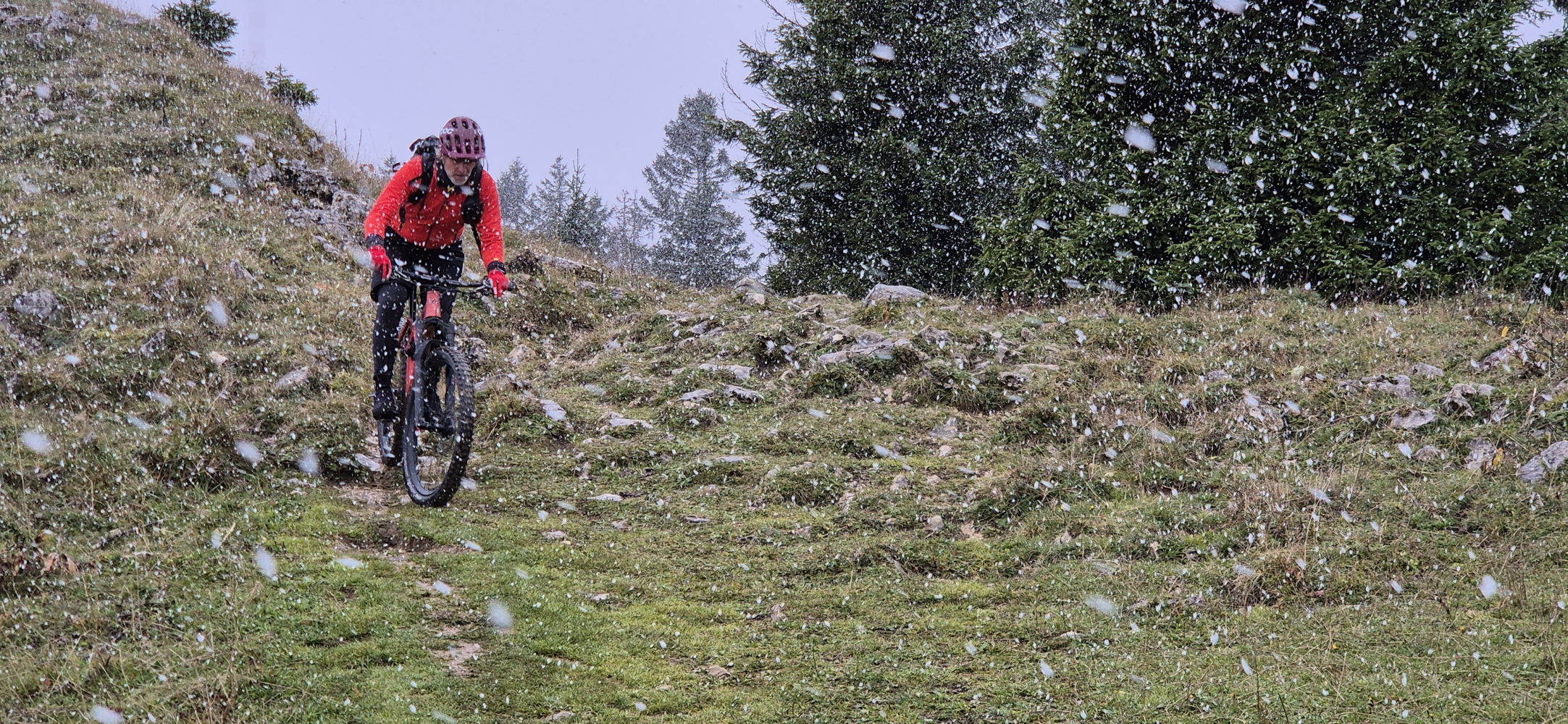 p1030690b.jpg