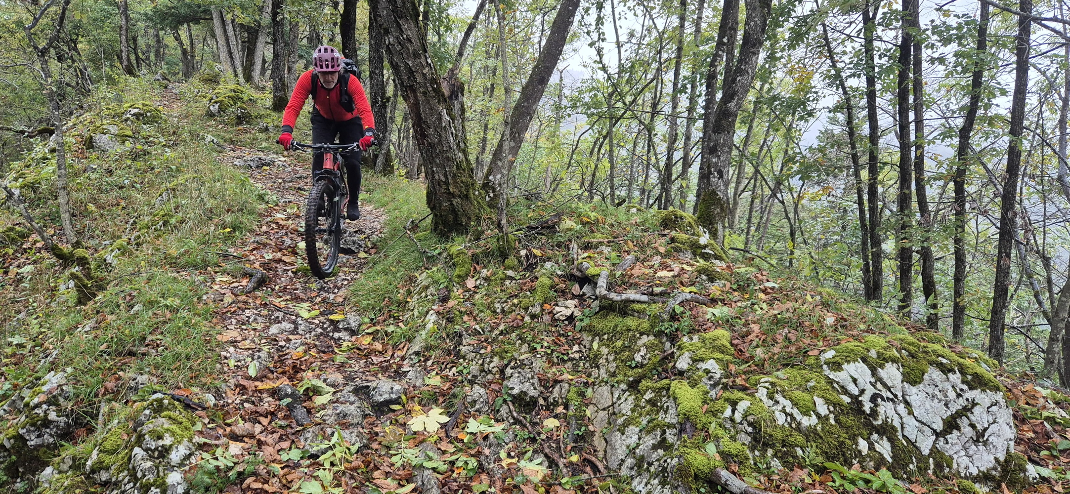 p1030700c.jpg