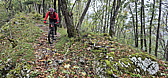p1030700c.jpg