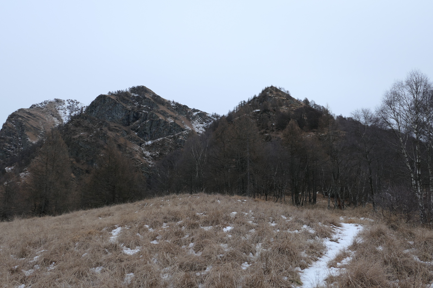 p1050573.jpg