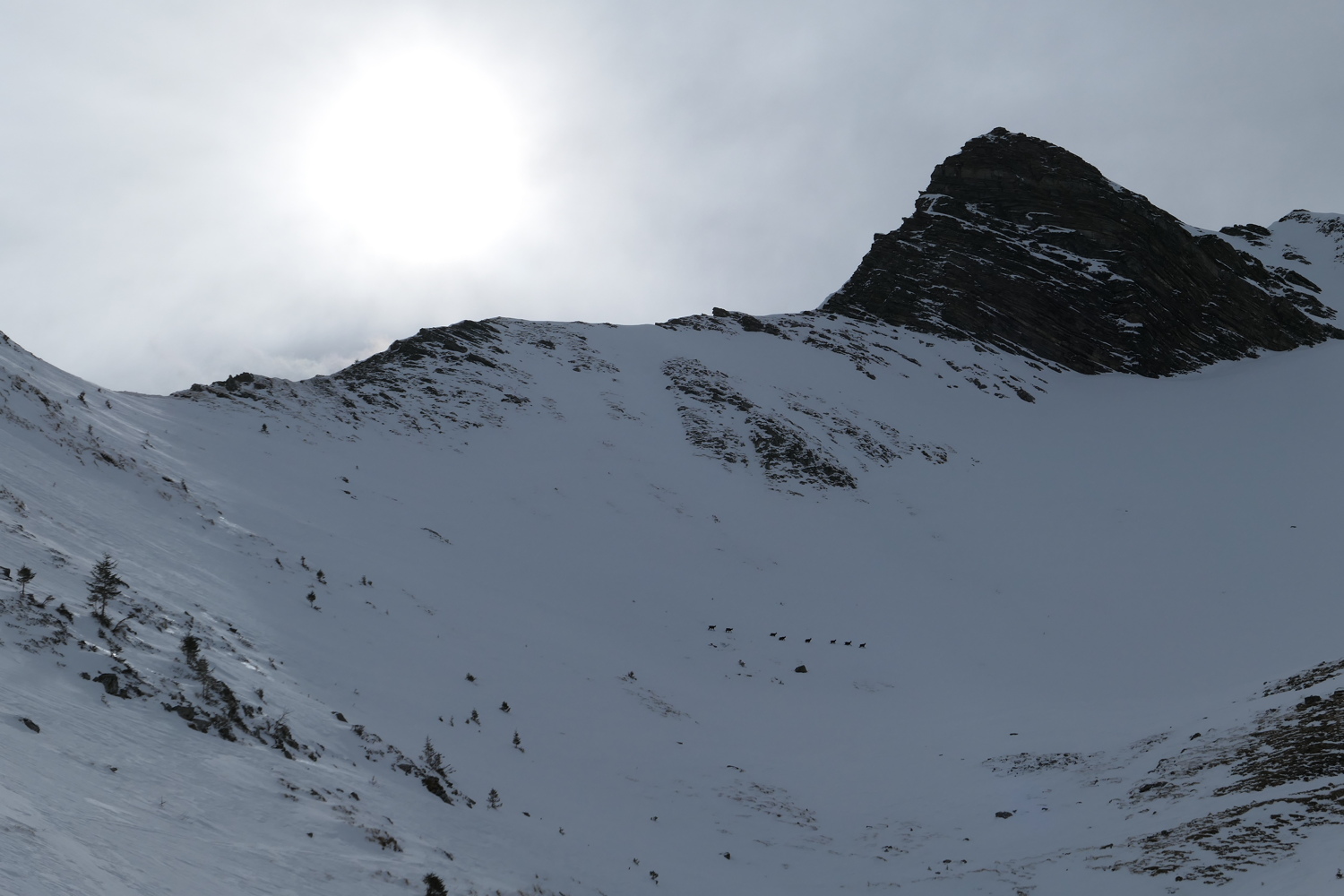 p1010331.jpg