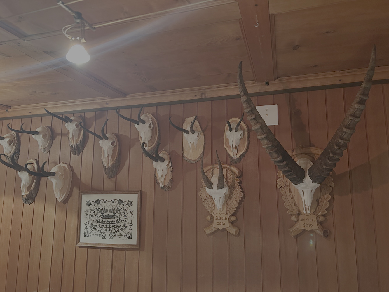 p1010353a.jpeg