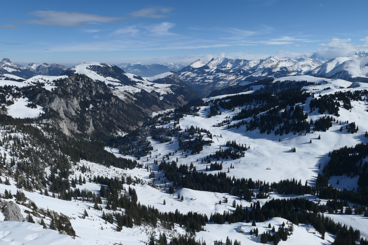 p1010364.jpg