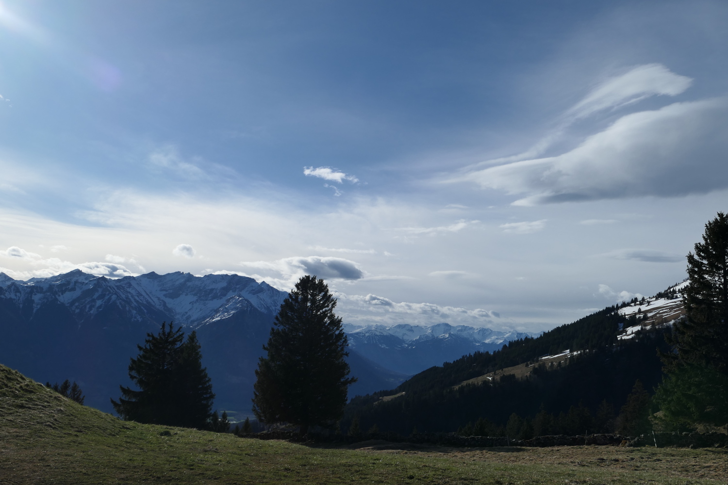 p1010661.jpg