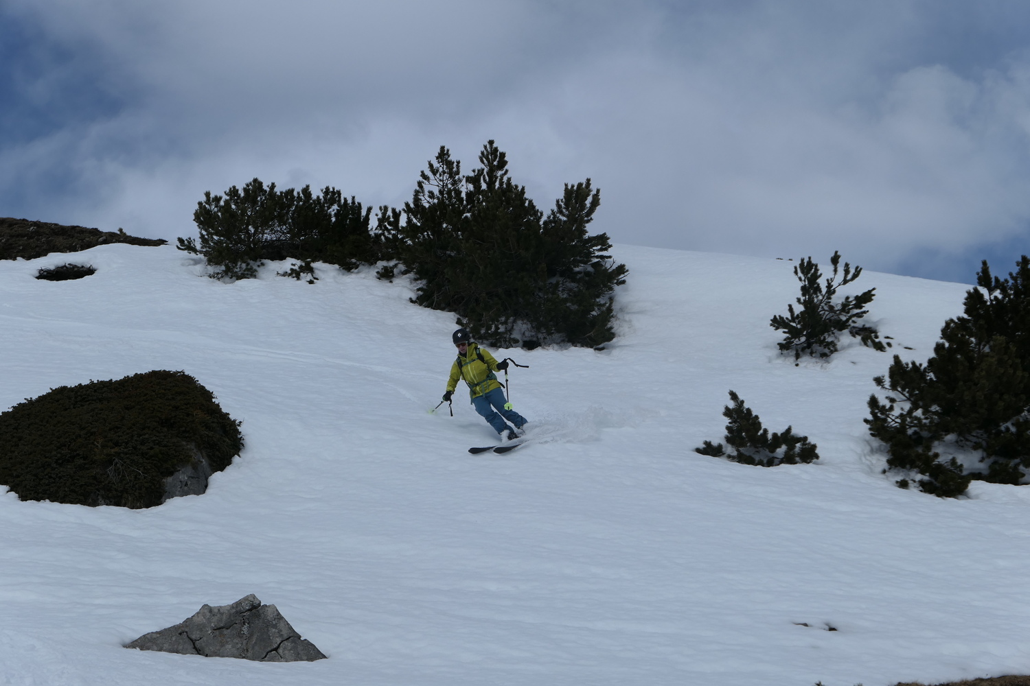 p1010682.jpg