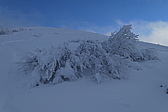 p1010280.jpg