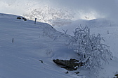 p1010282.jpg