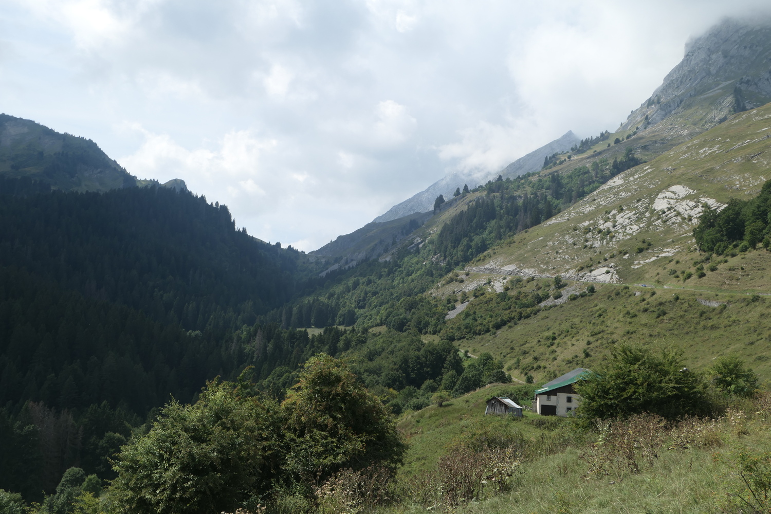 p1030215.jpg