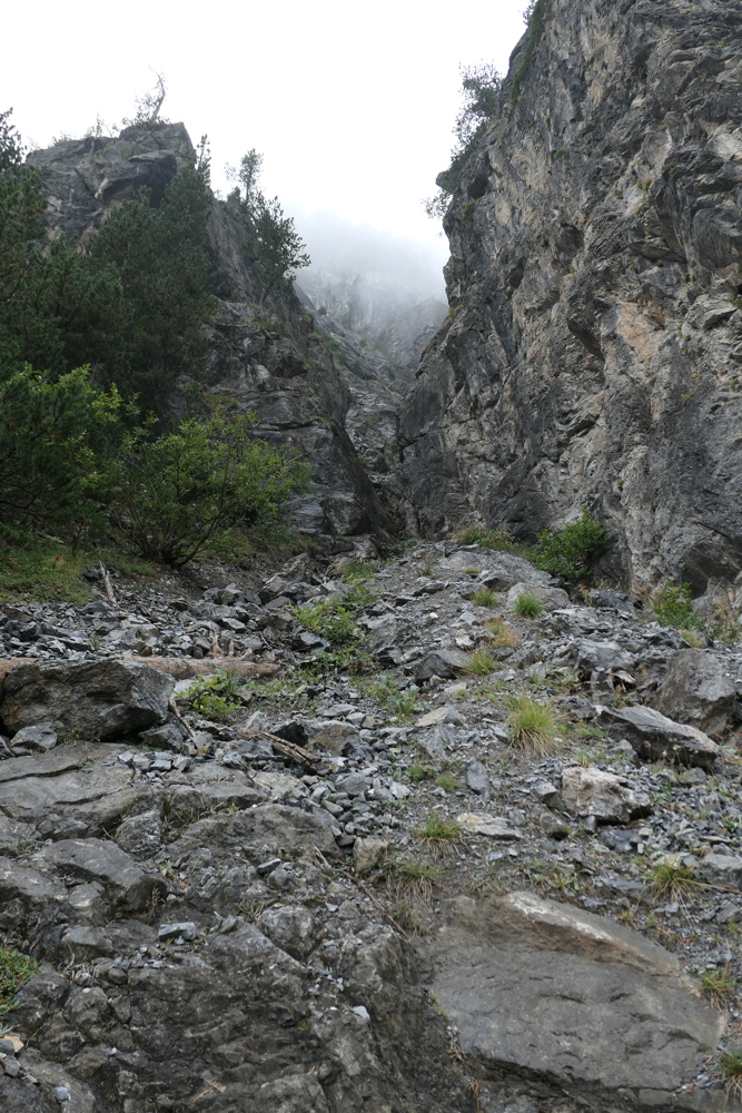 p1030341.jpg