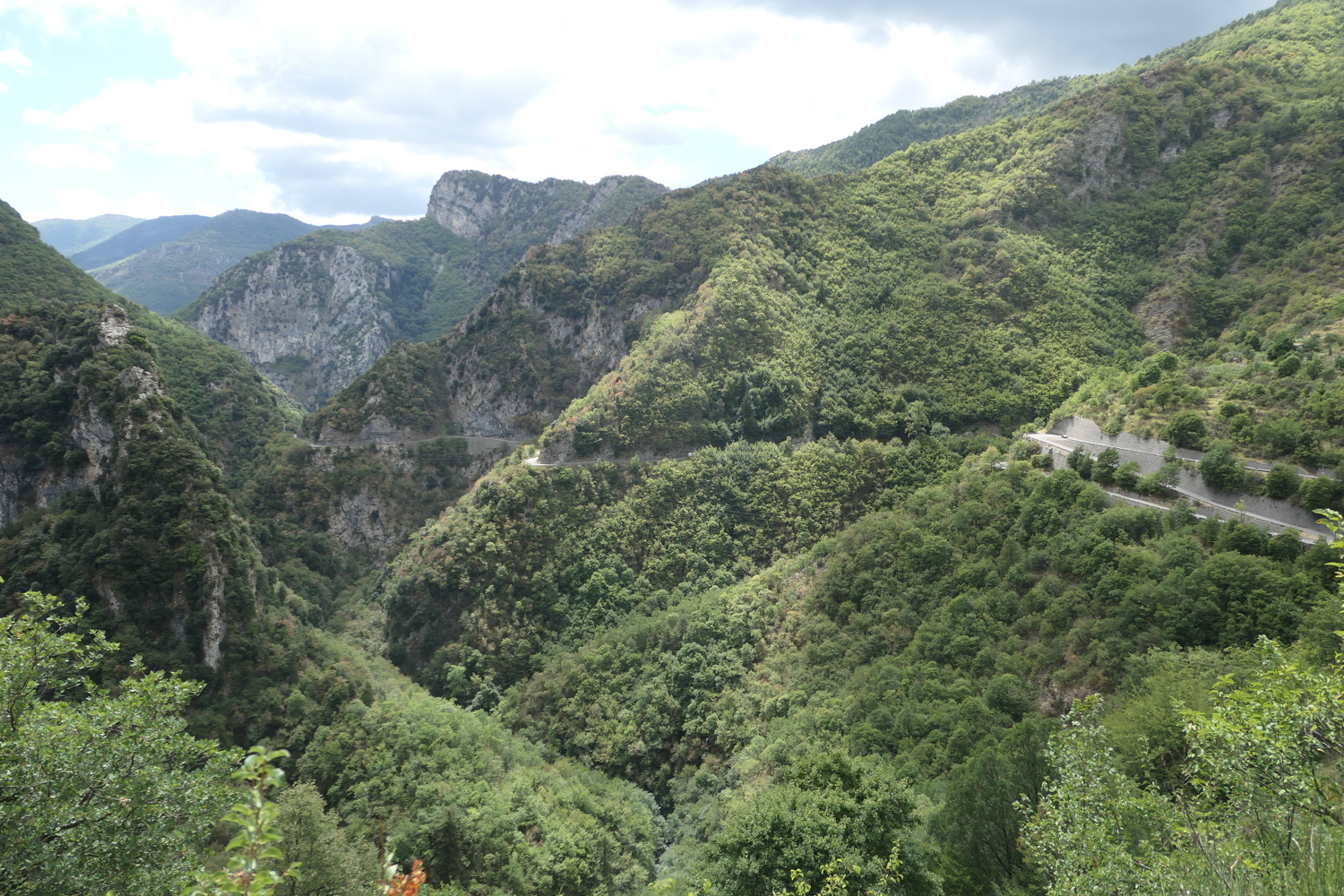 p1030446.jpg