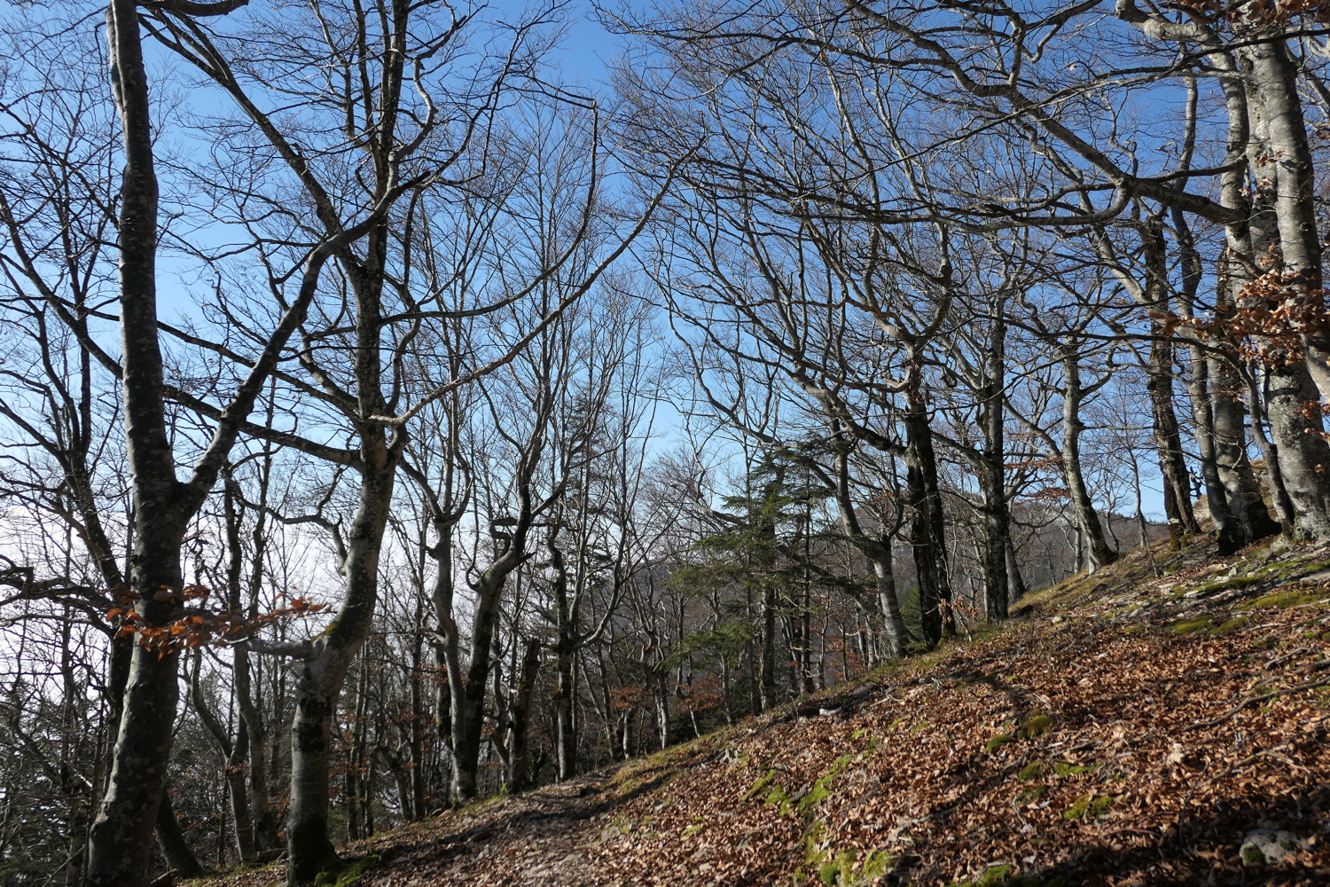 p1050467.jpg