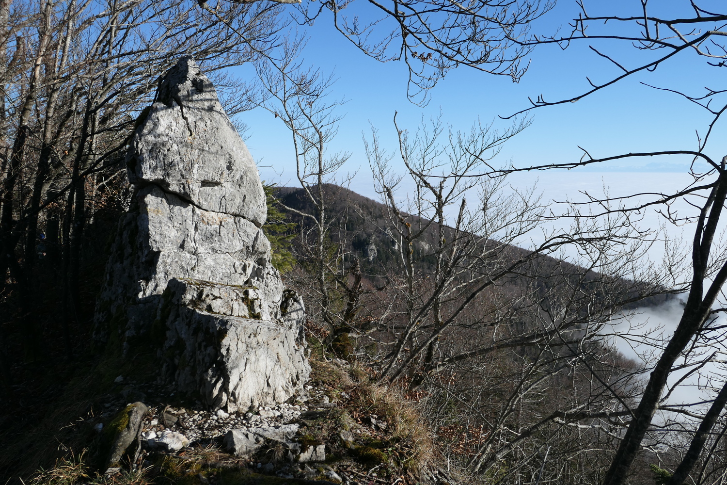 p1050474.jpg